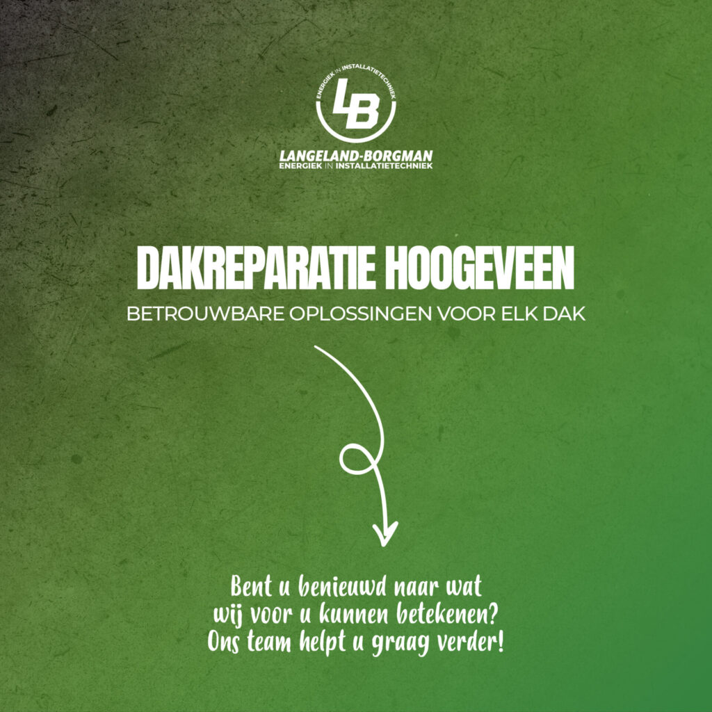 Dakreparatie Hoogeveen