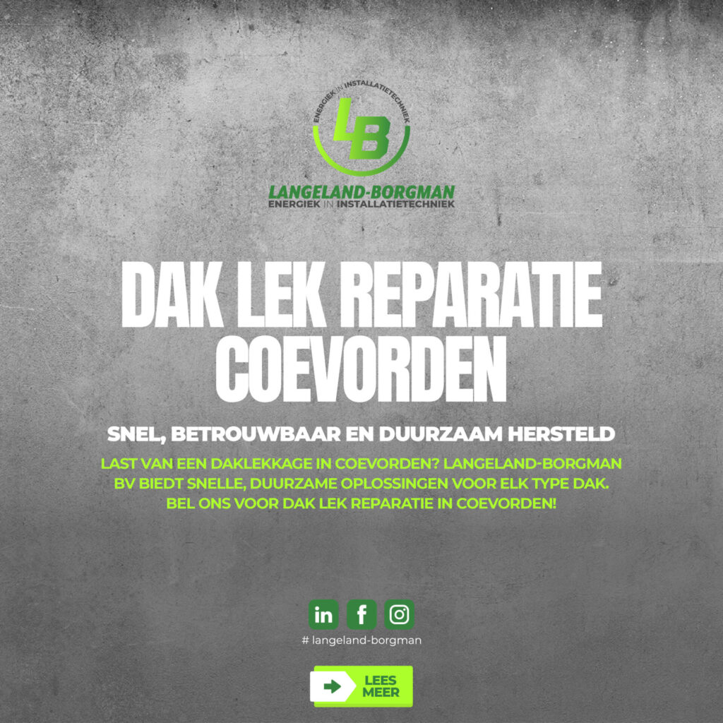Dak lek reparatie Coevorden